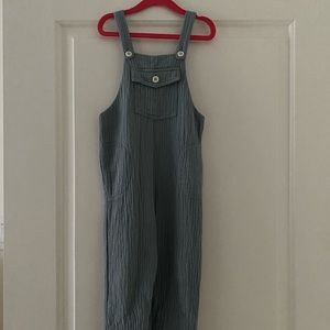 Zara blue toddler overalls
